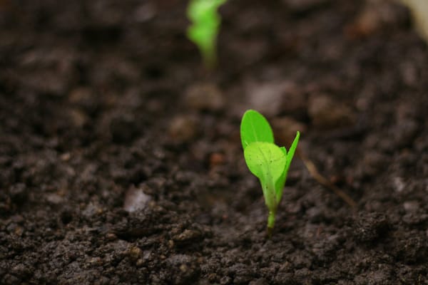 Responsibility - The First Step To Change